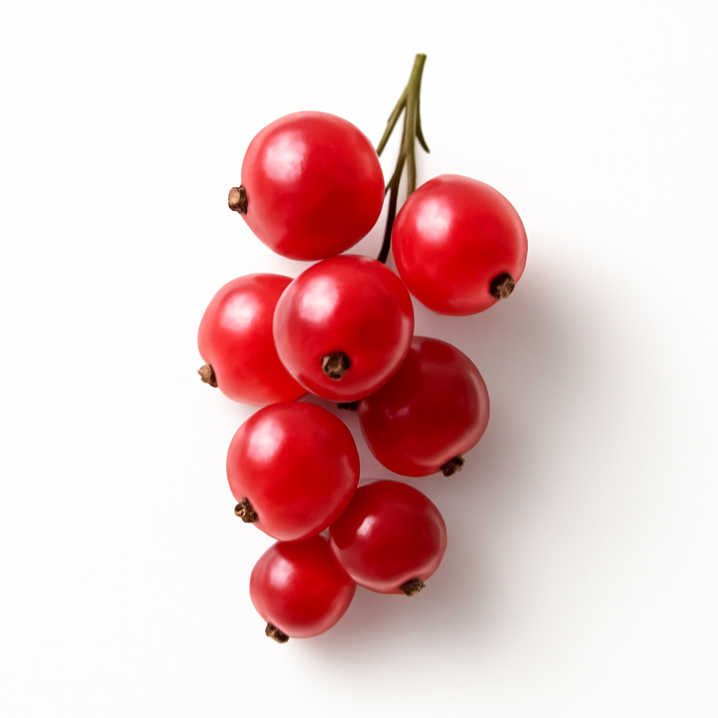 Red Currant