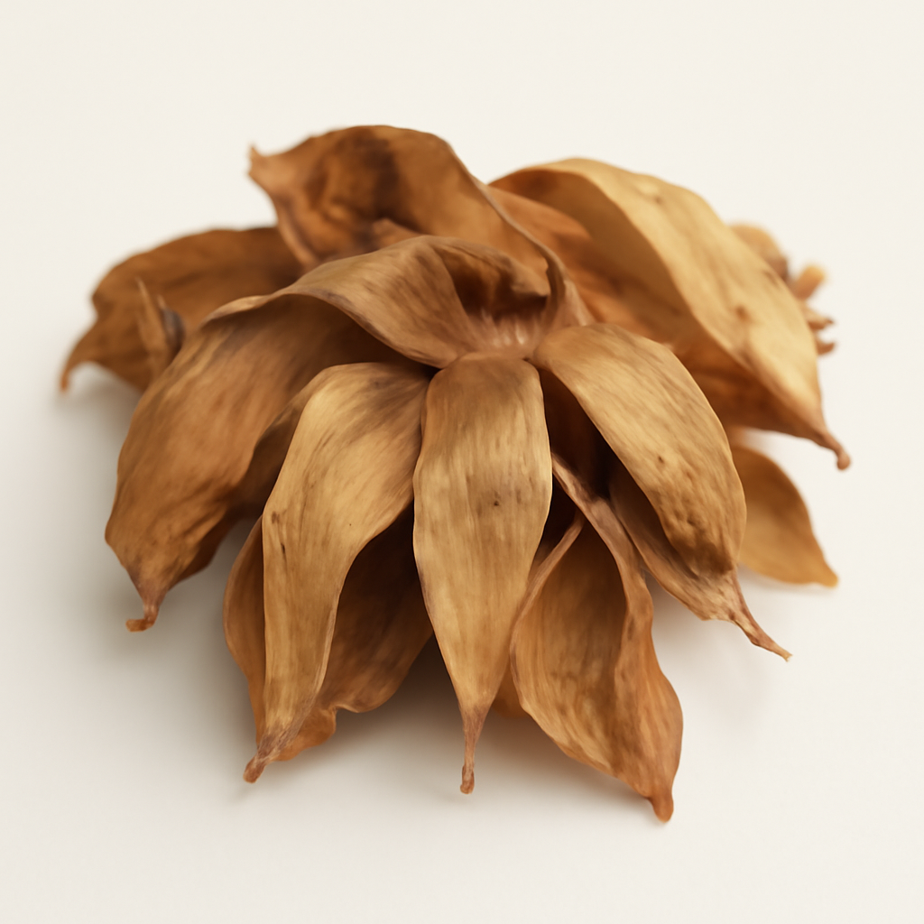 Honeybush or Cyclopia