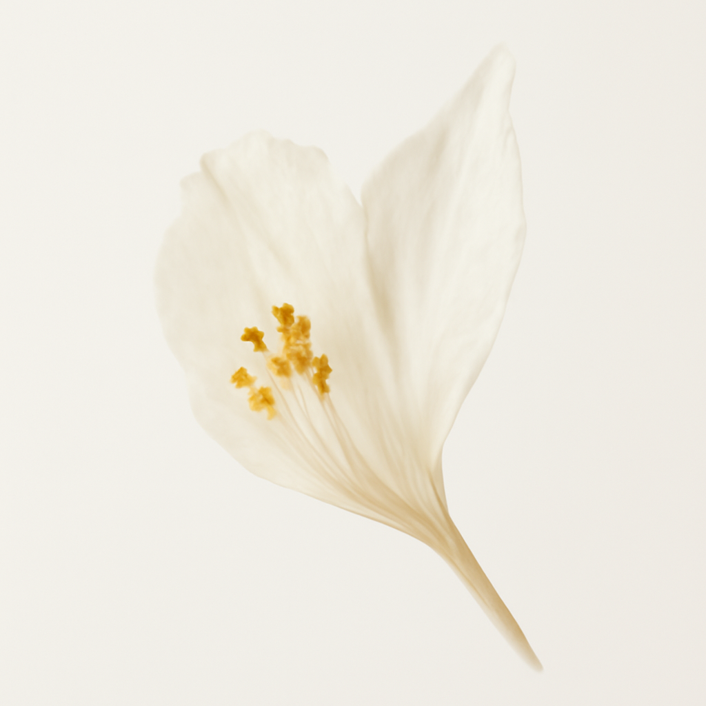 Lady of the Night Flower