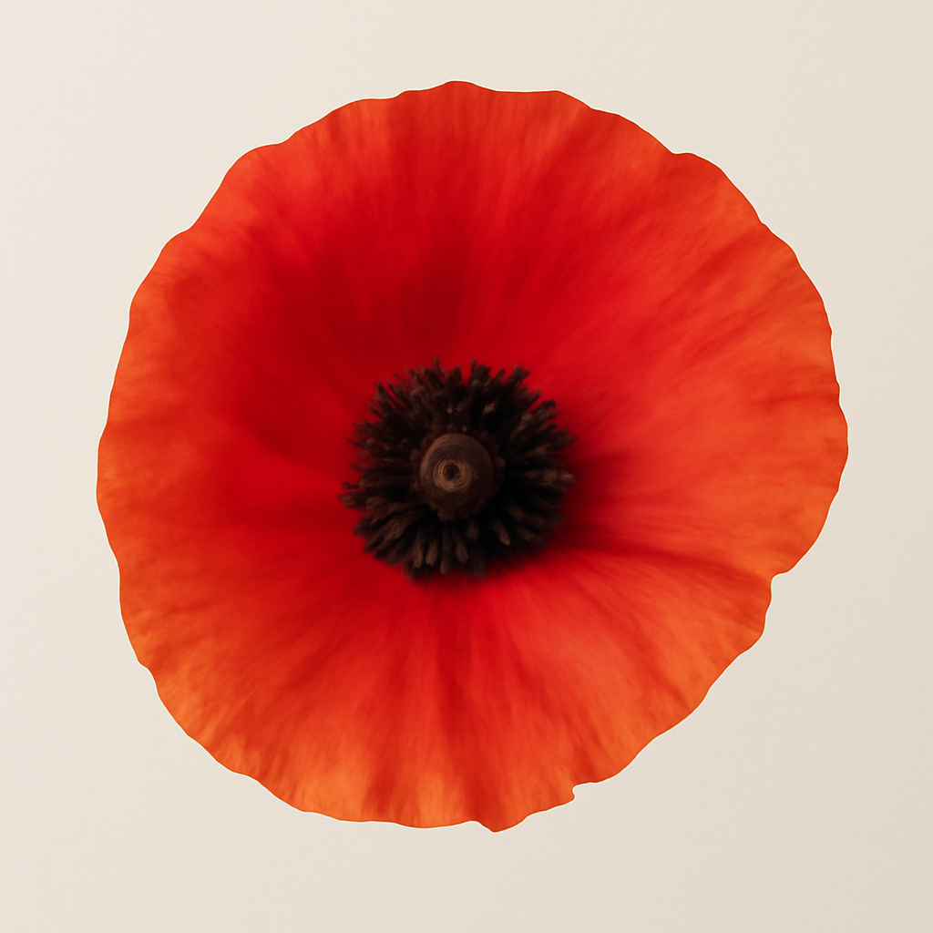 Poppy