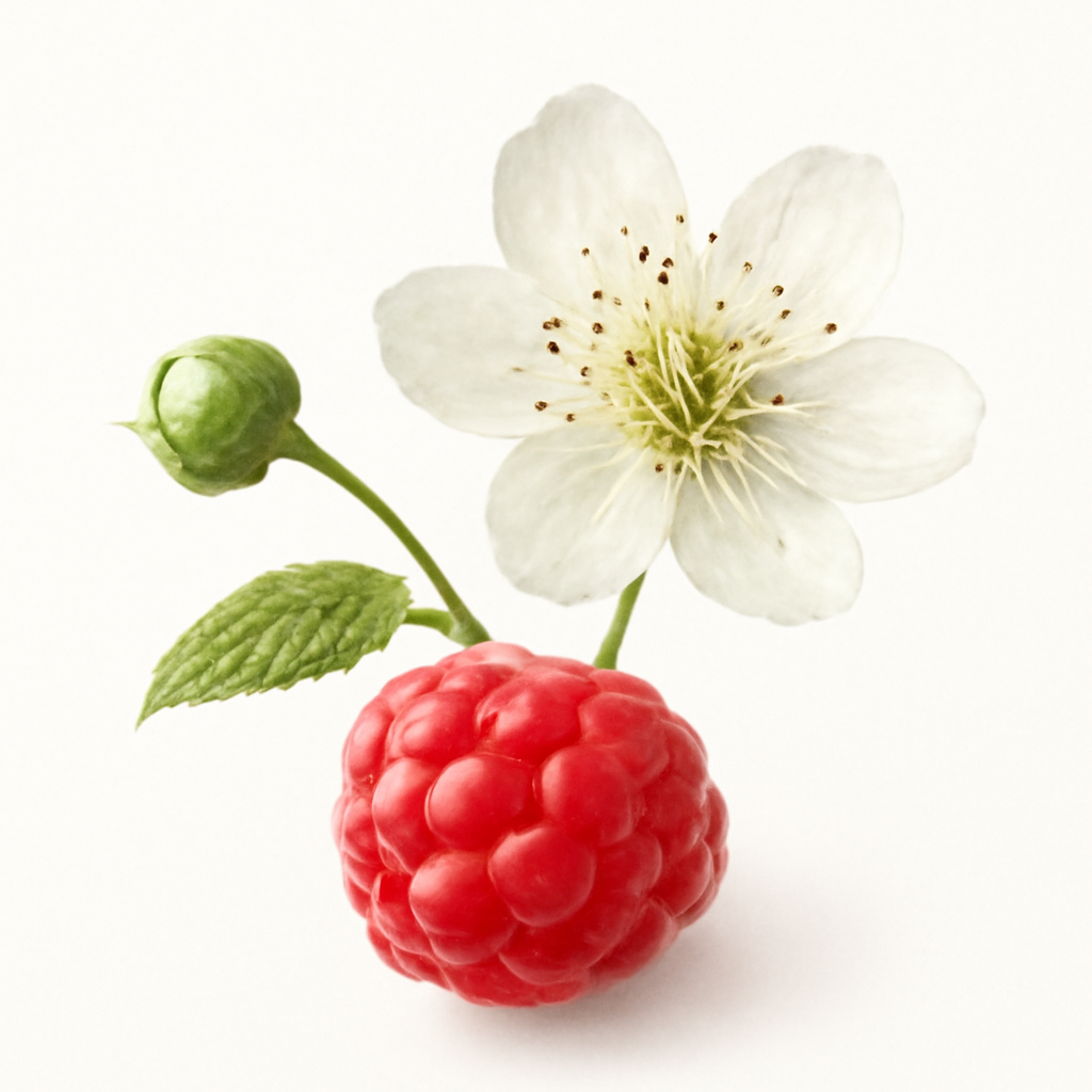 Raspberry Blossom
