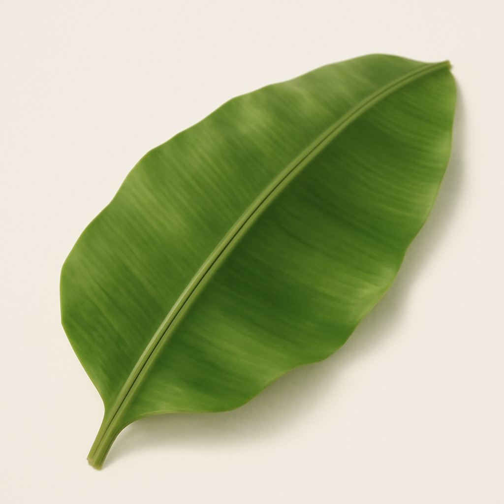 Banana Leaf