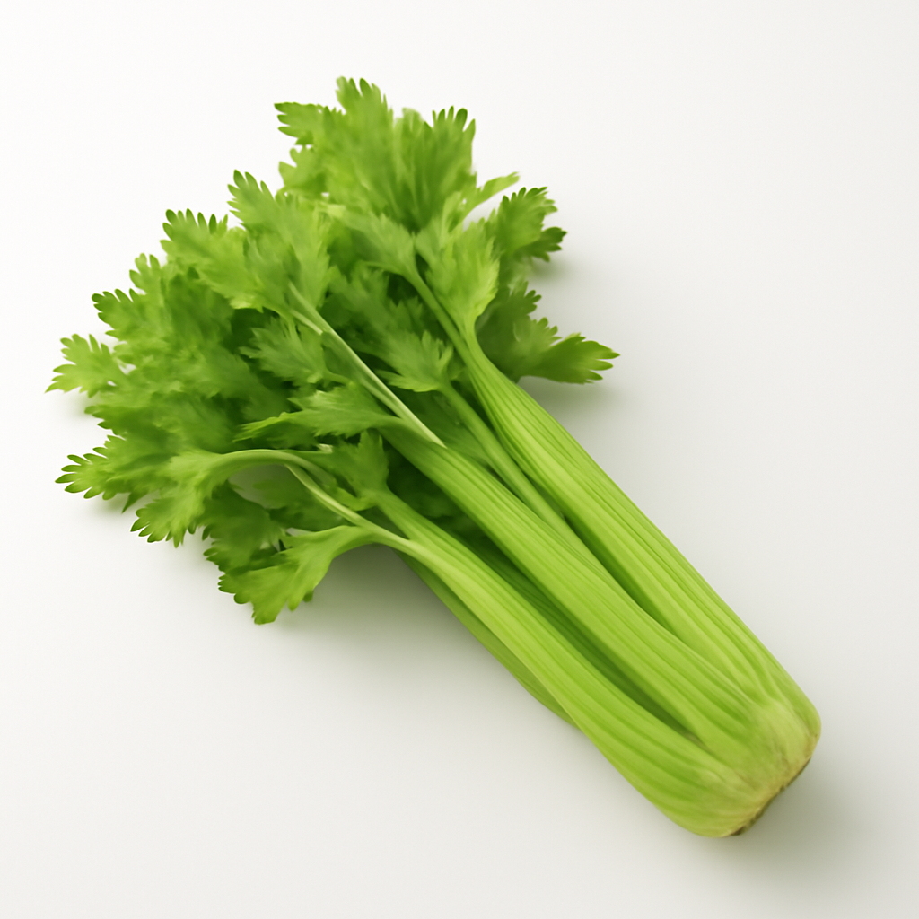 Celery