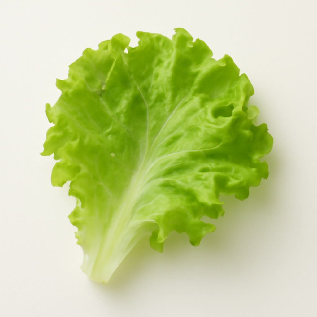 Lettuce