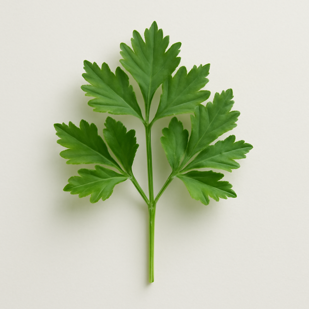 Parsley