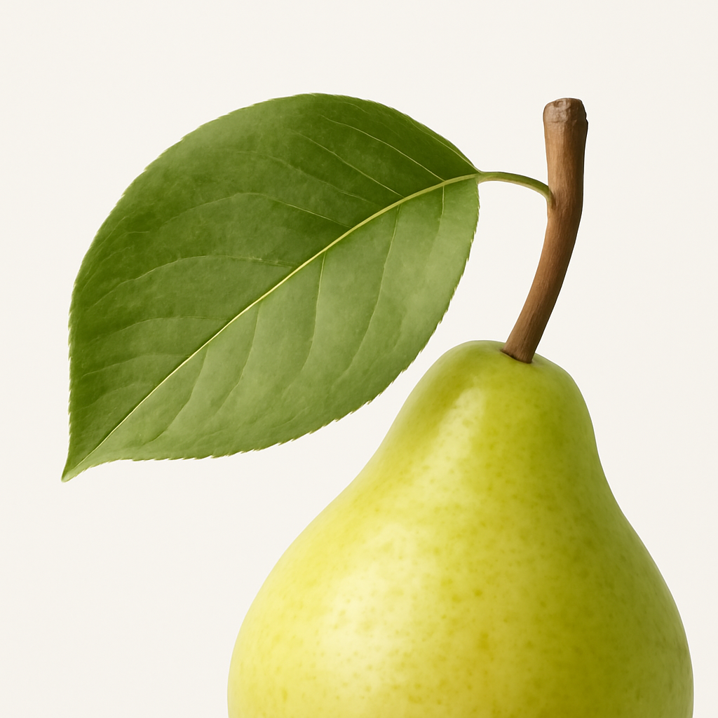 Pear Leaf