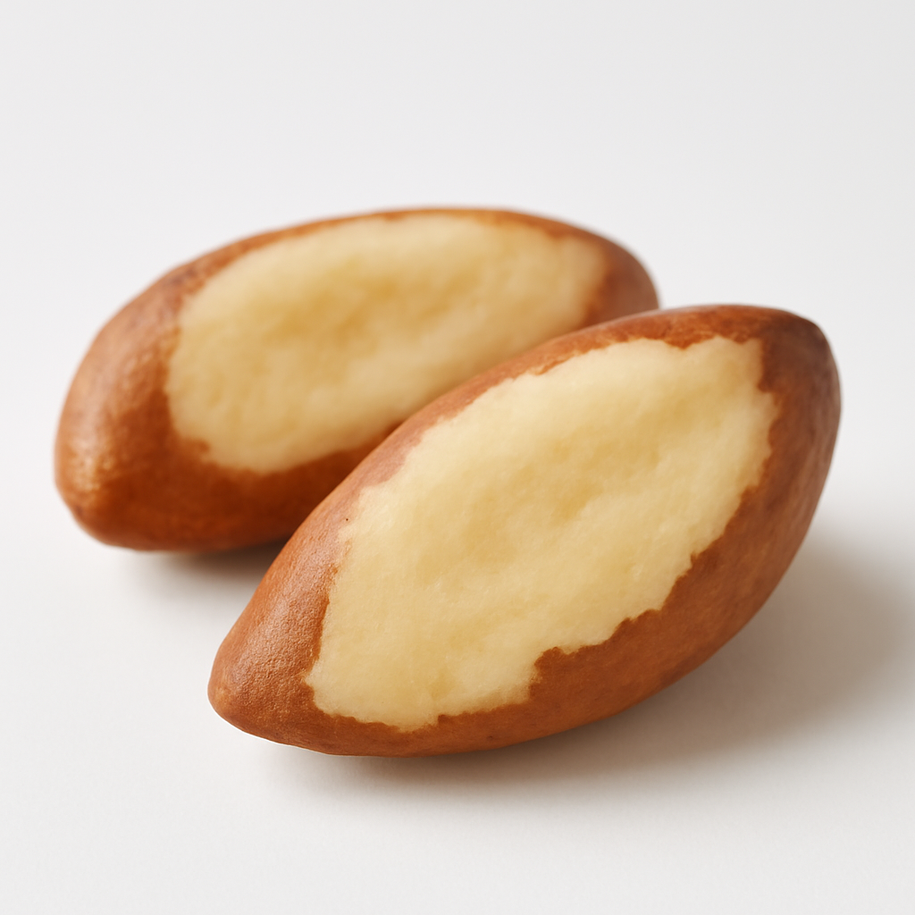 Brazil Nut