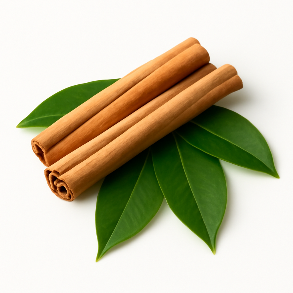 Cinnamon Leaf