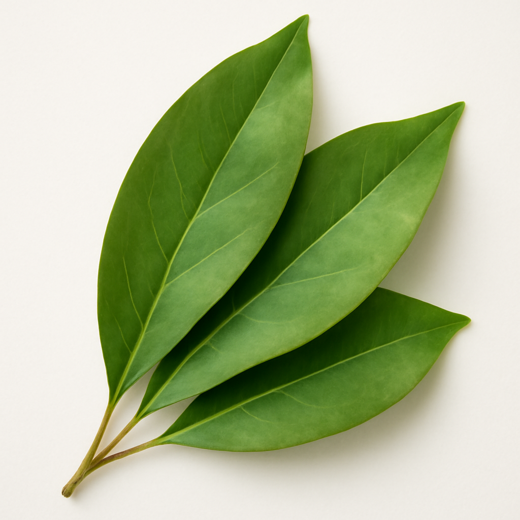 Clove Leaf